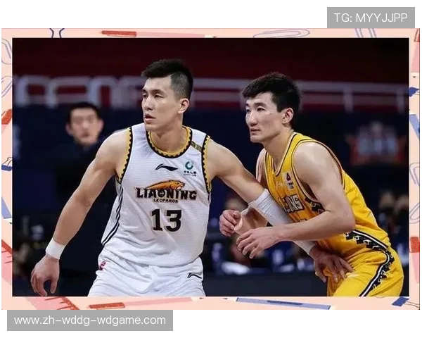 辽宁CBA球队的历史与赛季回顾